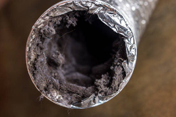 Best Emergency Air Duct Cleaning  in Pce, LA